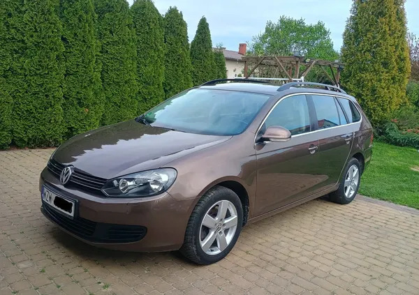 volkswagen Volkswagen Golf cena 26700 przebieg: 234619, rok produkcji 2011 z Ozimek